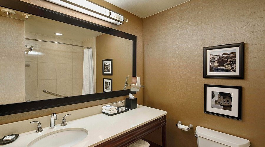 Holiday Inn Suites Sioux Falls Airport By IHG Sioux Falls South Dakota — Bathroom