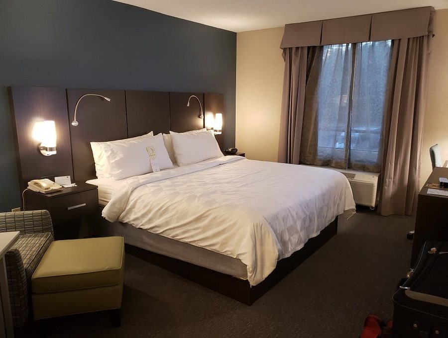 Holiday Inn Suites Tallahassee Conference Ctr N By IHG — Guest room