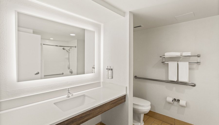Holiday Inn Tampa Westshore Airport Area By IHG Tampa Florida — Bathroom