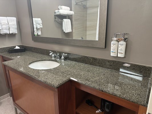 Holiday Inn Washington Dulles Intl Airport by IHG — Bathroom
