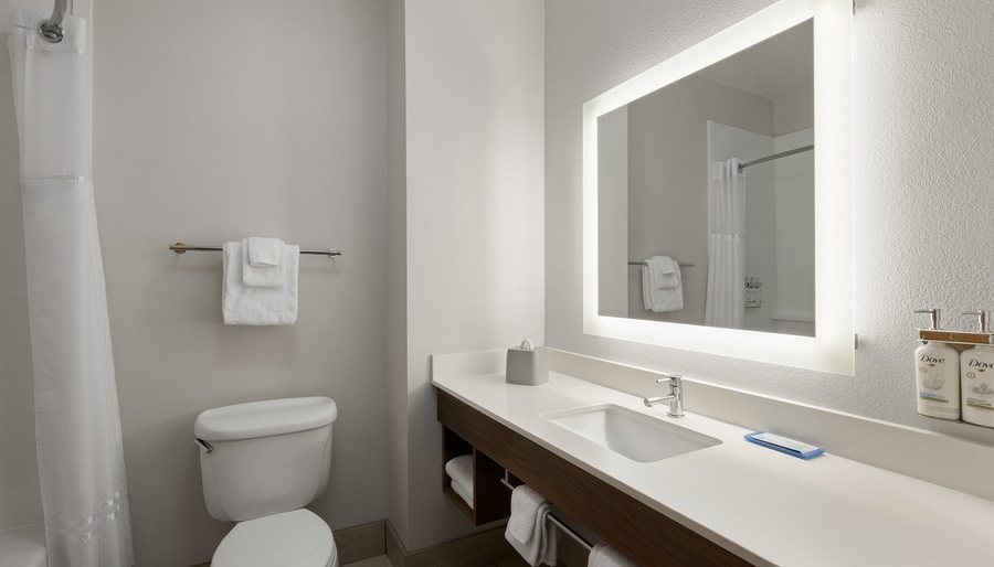 Holiday Inn Winter Haven by IHG Winter Haven Florida — Bathroom