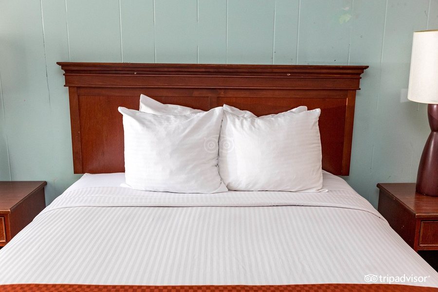 Holiday Lodge Los Angeles California — Guest room
