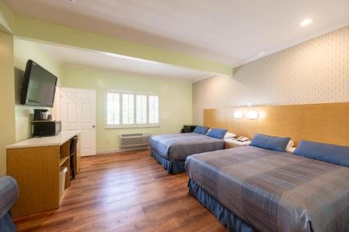 Hollywood City Inn — Guest room