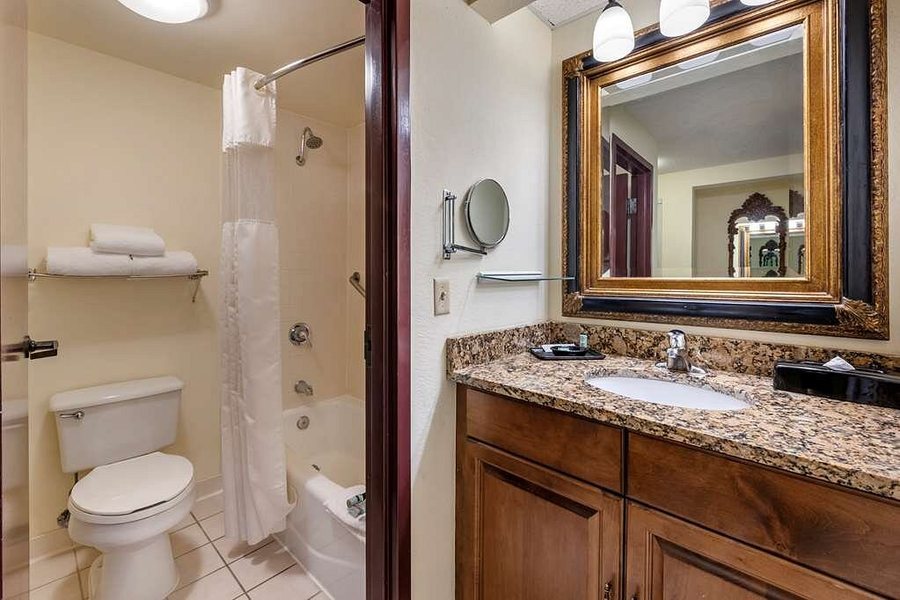 HOM Hotel Gainesville SureStay Collection by Best Western — Bathroom