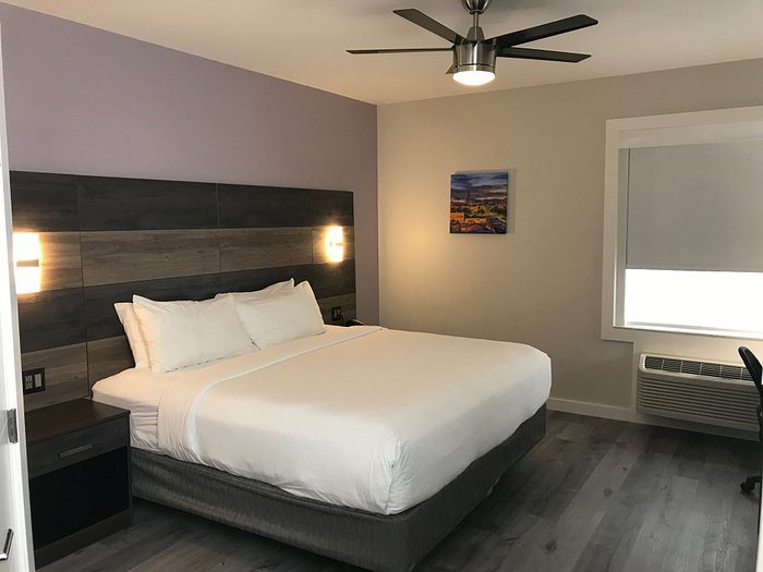 HOM Hotel Gainesville SureStay Collection by Best Western — Guest room