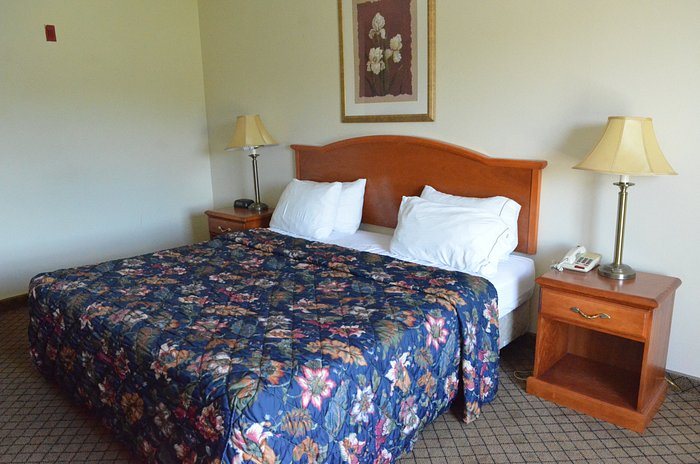 Home Inn Suites Montgomery — Guest room