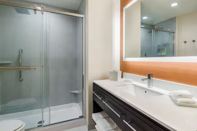 Home2 Suites By Hilton Atlanta Downtown — Bathroom