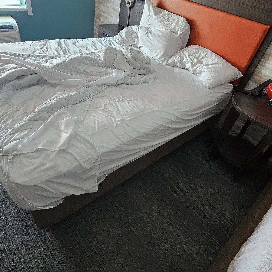 Home2 Suites by Hilton Hinesville — Guest room
