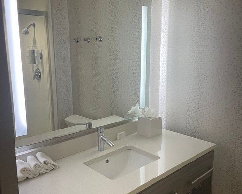 Home2 Suites by Hilton Norfolk Airport — Bathroom