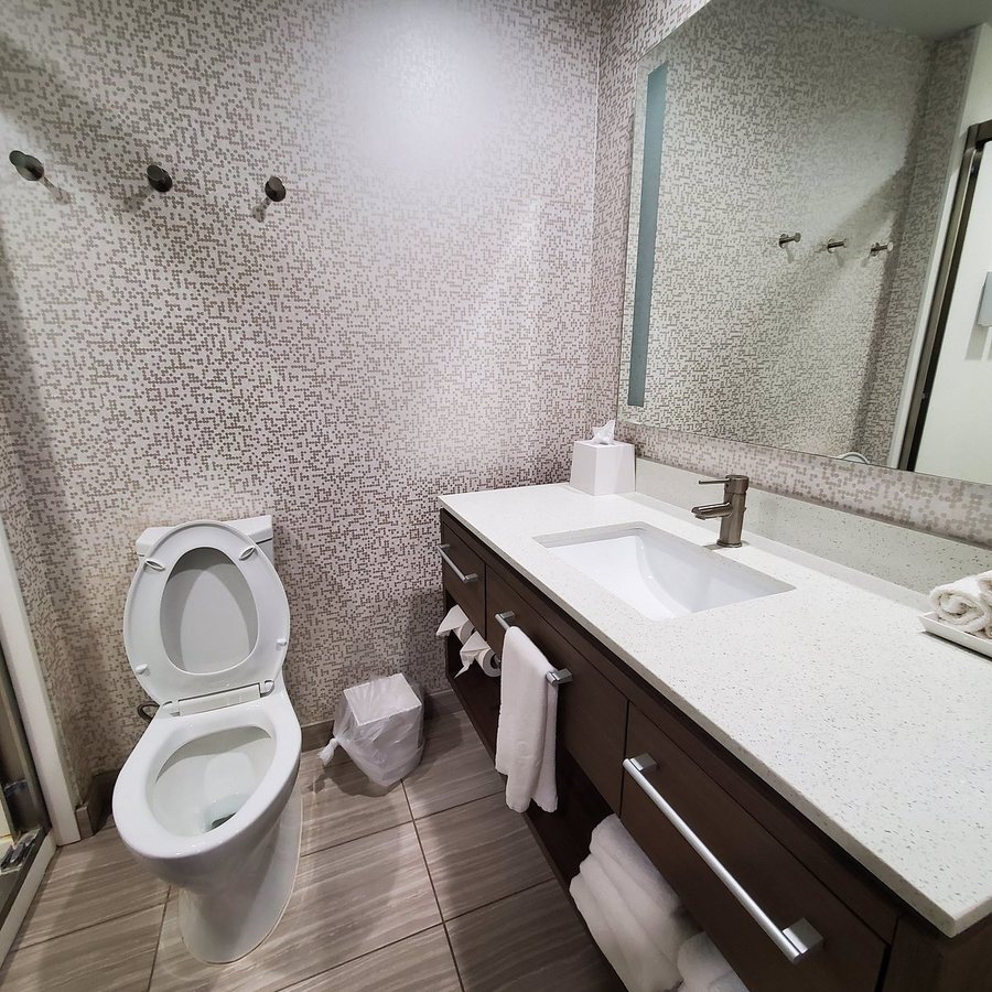 Home2 Suites by Hilton Pecos — Bathroom