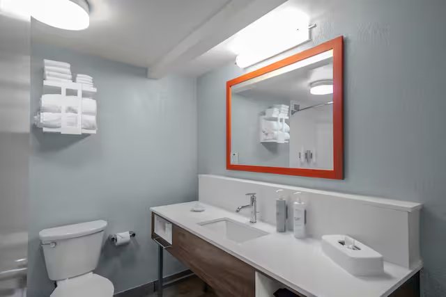 Home2 Suites by Hilton Sarasota I 75 Bee Ridge — Bathroom