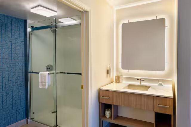 Homewood Suites by Hilton Atlanta Buckhead Pharr Road — Bathroom