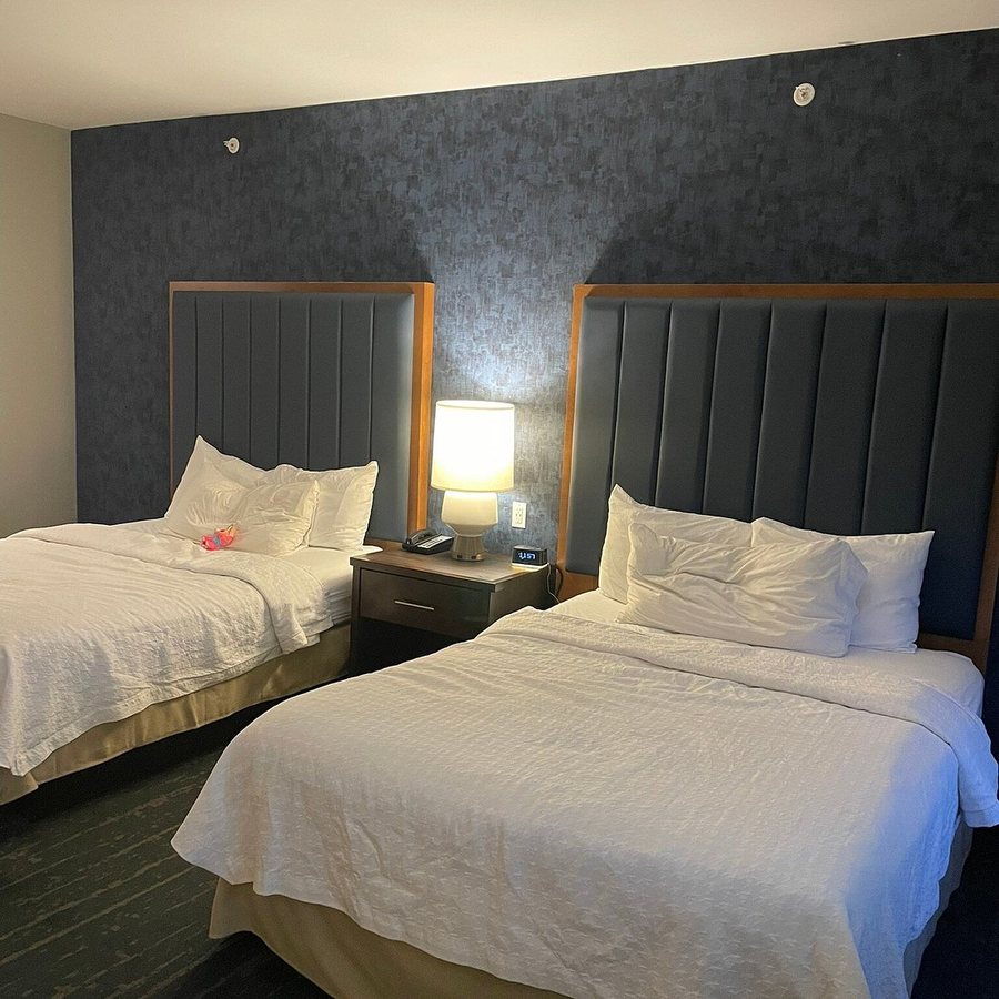 Homewood Suites by Hilton Denver Airport Tower Road — Guest room