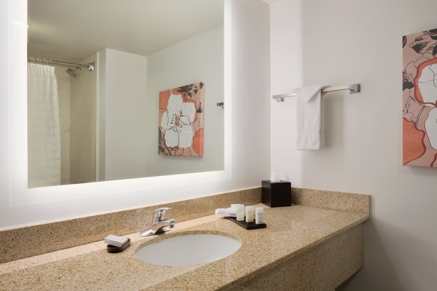 Homewood Suites by Hilton Denver International Airport — Bathroom