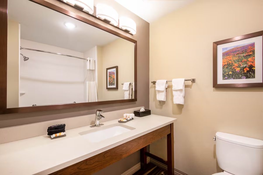 Homewood Suites By Hilton Durango Co — Bathroom