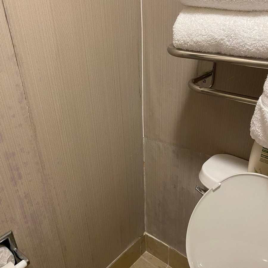 Homewood Suites By Hilton Durham chapel Hill I 40 — Bathroom