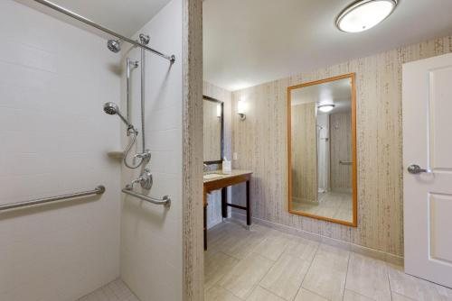 Homewood Suites by Hilton Fort Worth Medical Center TX — Bathroom