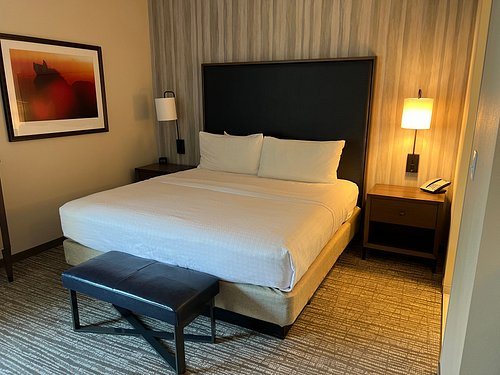 Homewood Suites by Hilton Louisville Downtown — Guest room