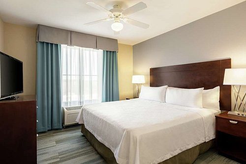 Homewood Suites by Hilton Macon North — Guest room