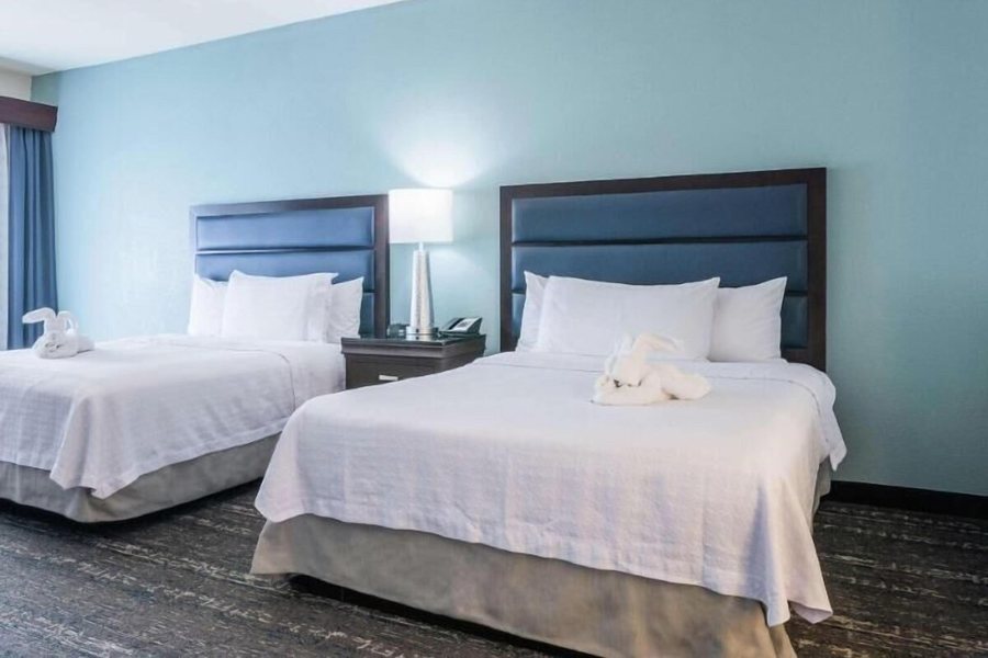 Homewood Suites by Hilton Miami Airport West — Guest room