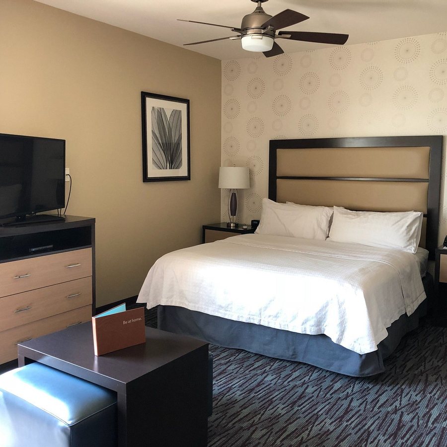 Homewood Suites By Hilton Mobile I 65 airport Blvd Al — Guest room
