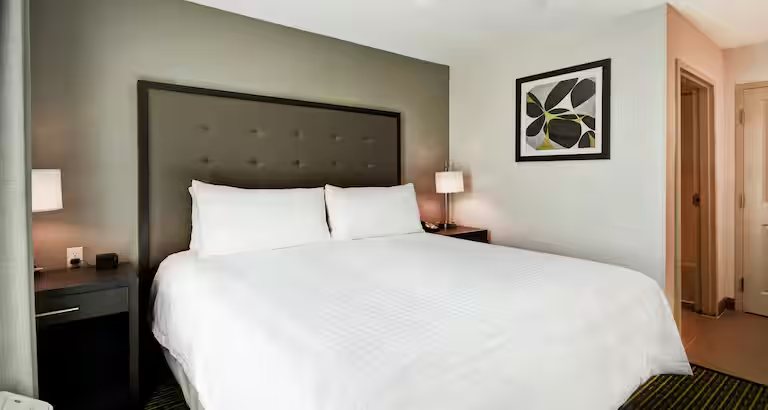 Homewood Suites by Hilton Novi Detroit — Guest room