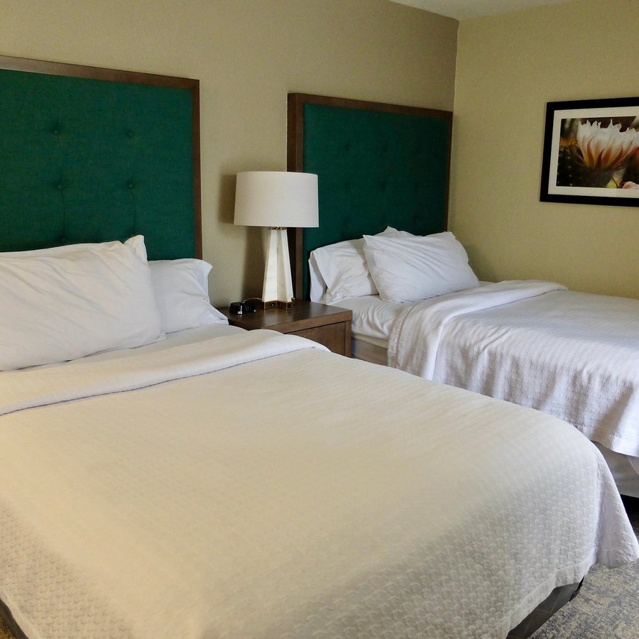 Homewood Suites By Hilton Sarasota — Guest room