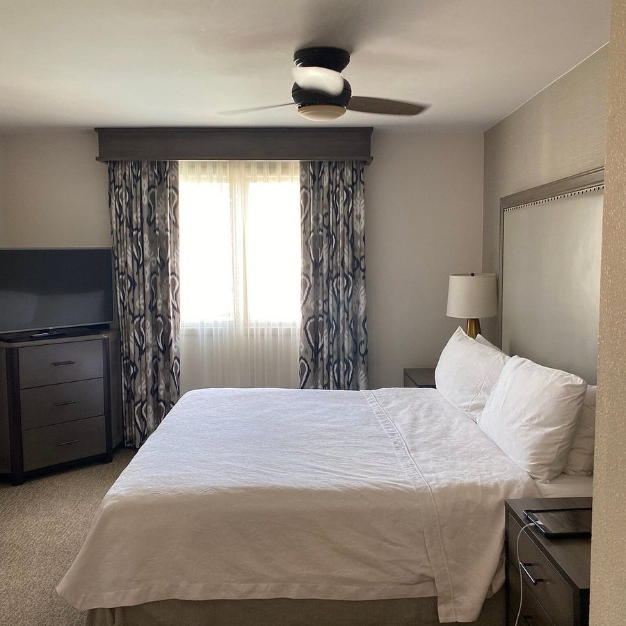 Homewood Suites by Hilton Tucson St Philip s Plaza University — Guest room