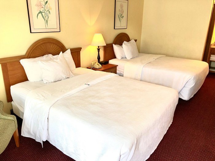 Honeysuckle Inn and Conference Center — Guest room