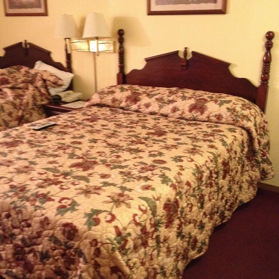Honeysuckle Inn — Guest room