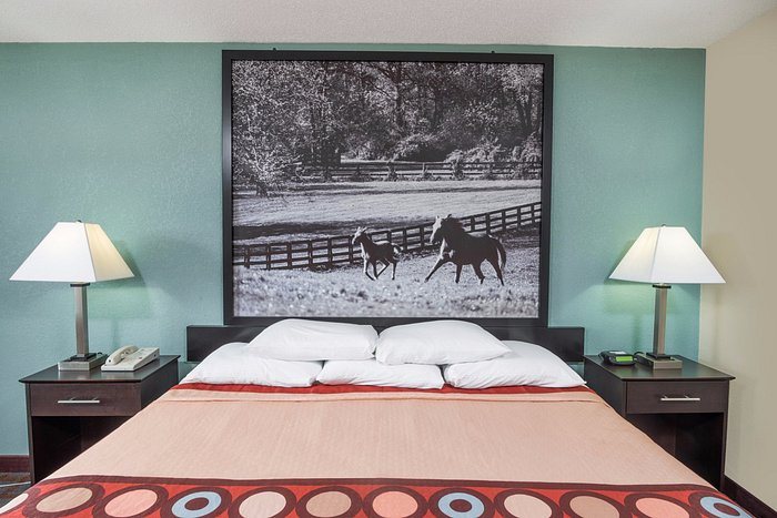 Hotel 7 Inn Paducah — Guest room