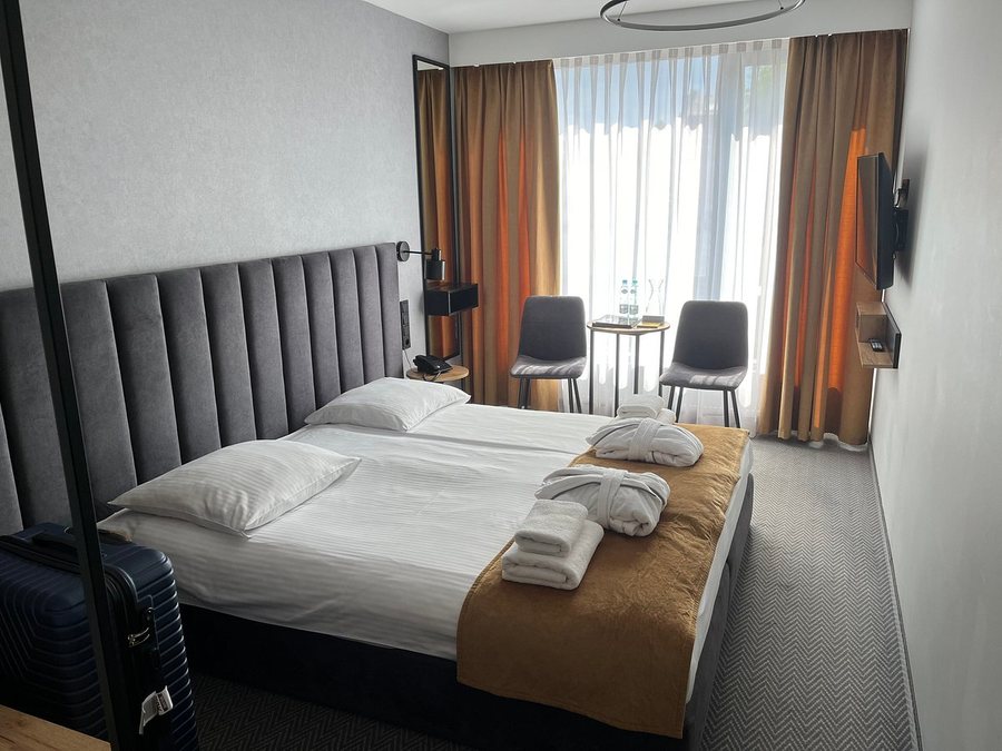 Hotel Alexander II — Guest room