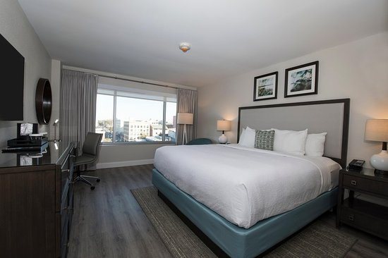 Hotel Ballast Wilmington Tapestry Collection by Hilton — Guest room