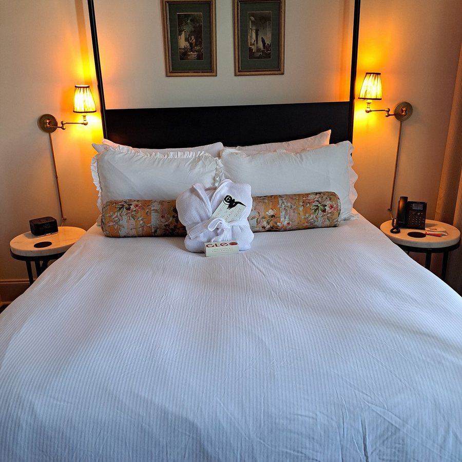 Hotel Cleo Knoxville Downtown A Tribute Portfolio Hotel — Guest room