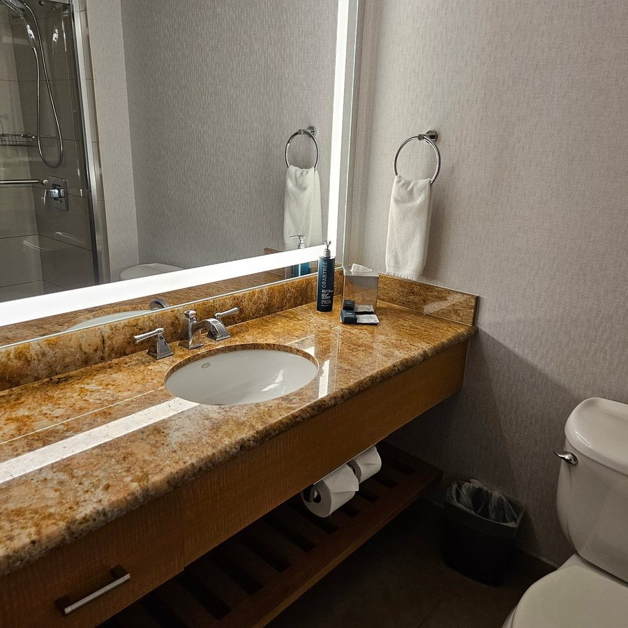 Hotel Fera Anaheim A Doubletree By Hilton — Bathroom