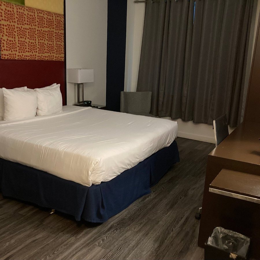 Hotel Hayden New York City New York — Guest room