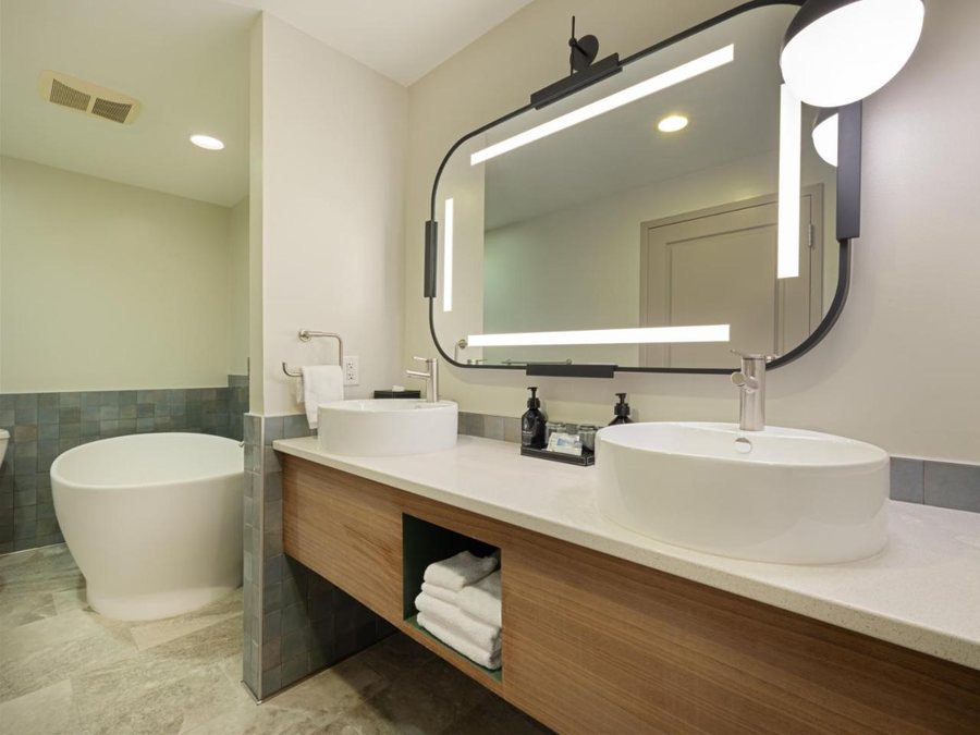 Hotel Indigo Asheville Downtown by IHG — Bathroom