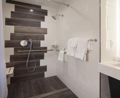 Hotel Indigo Atlanta Vinings By IHG Atlanta Georgia — Bathroom