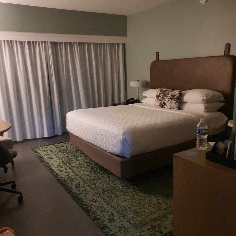 Hotel Indigo St Louis Central West End by IHG — Guest room