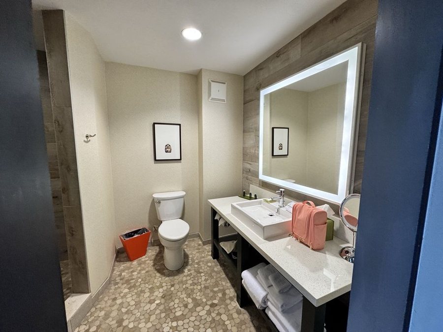 Hotel Indigo Traverse City By IHG — Bathroom