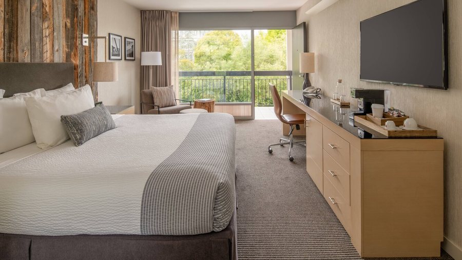 Hotel Paradox Autograph Collection — Guest room