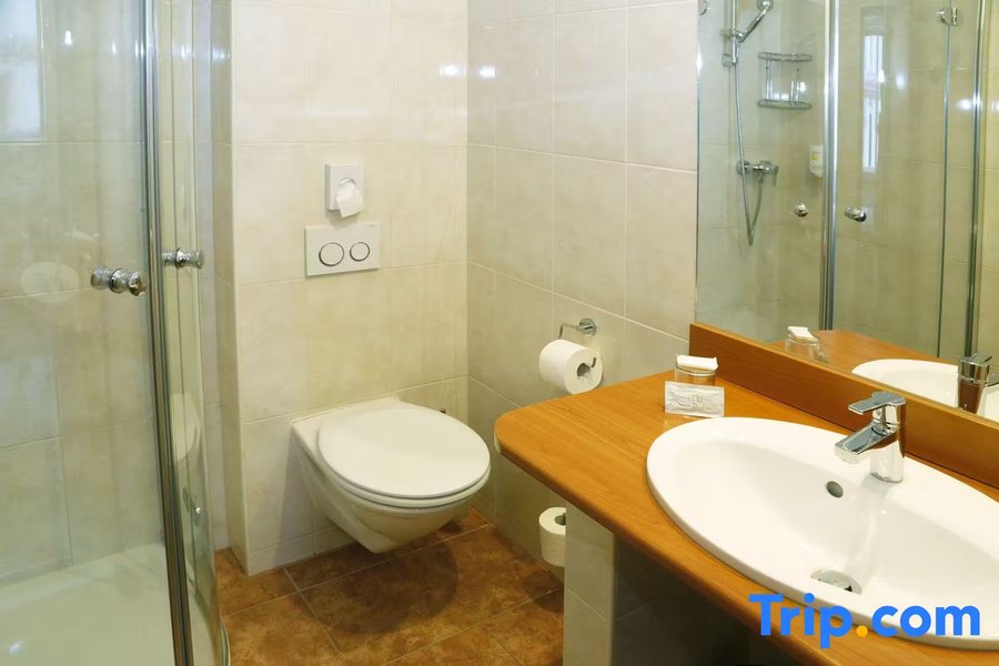 Hotel Pension Continental — Bathroom