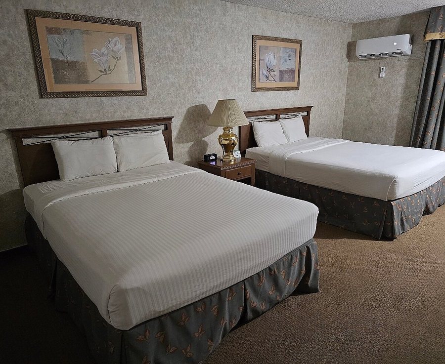 Hotel Piccadilly — Guest room