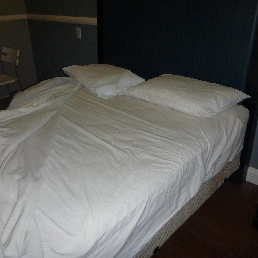 Hotel Salina Long Beach — Guest room