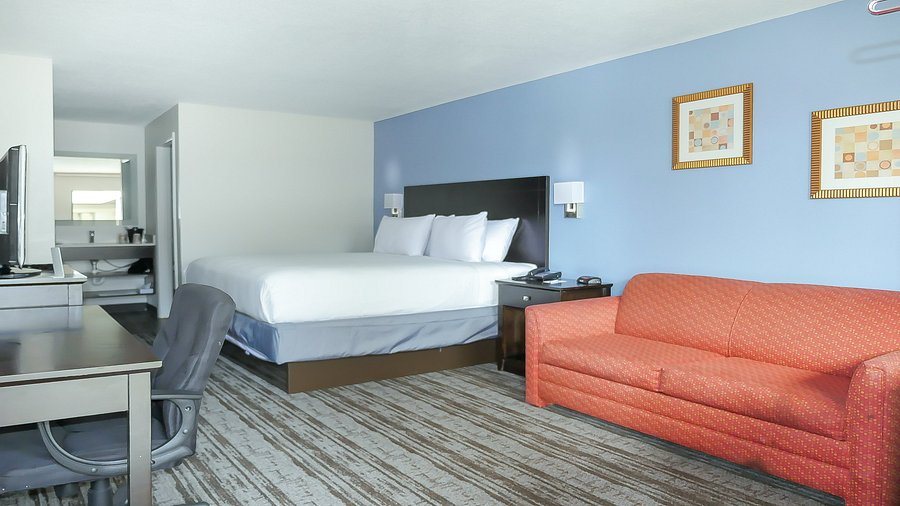 Hotel South Tampa and Suites — Guest room