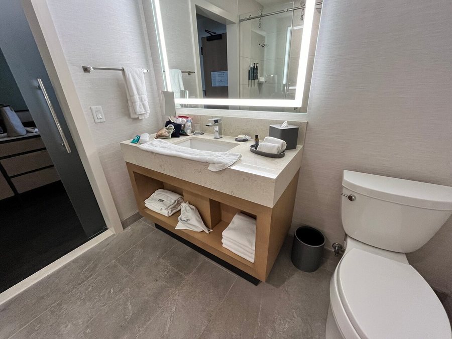 Houston Medical Area — Bathroom