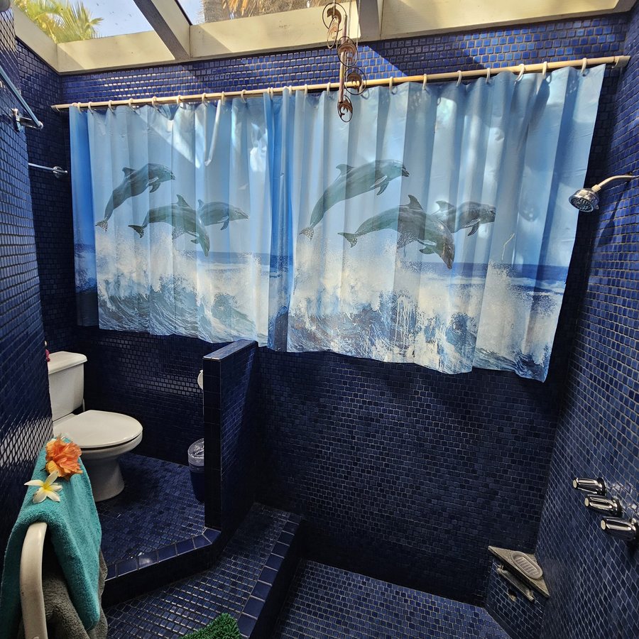 Huelo Pt Lookout Bed and Breakfast Maui — Bathroom