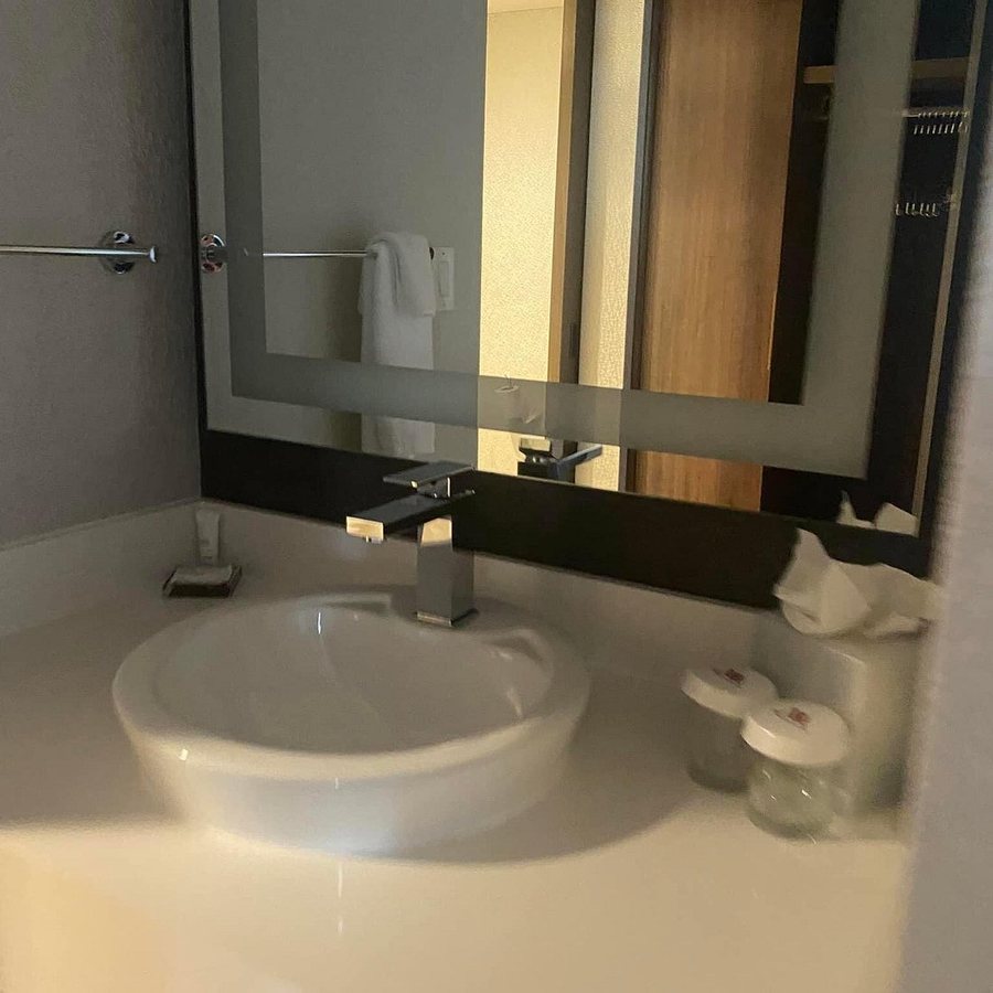 Huntsville Marriott At The Space Rocket Center — Bathroom