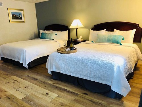 Hyannis Travel Inn — Guest room