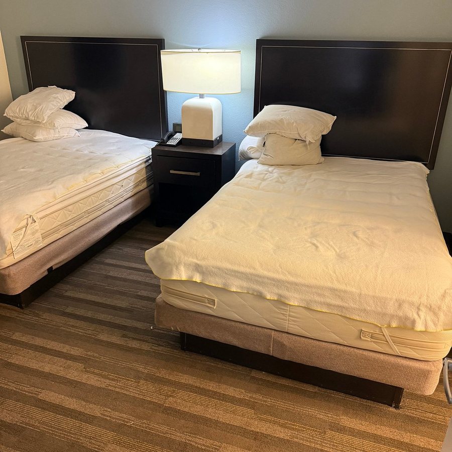 Hyatt House Dallas Addison — Guest room